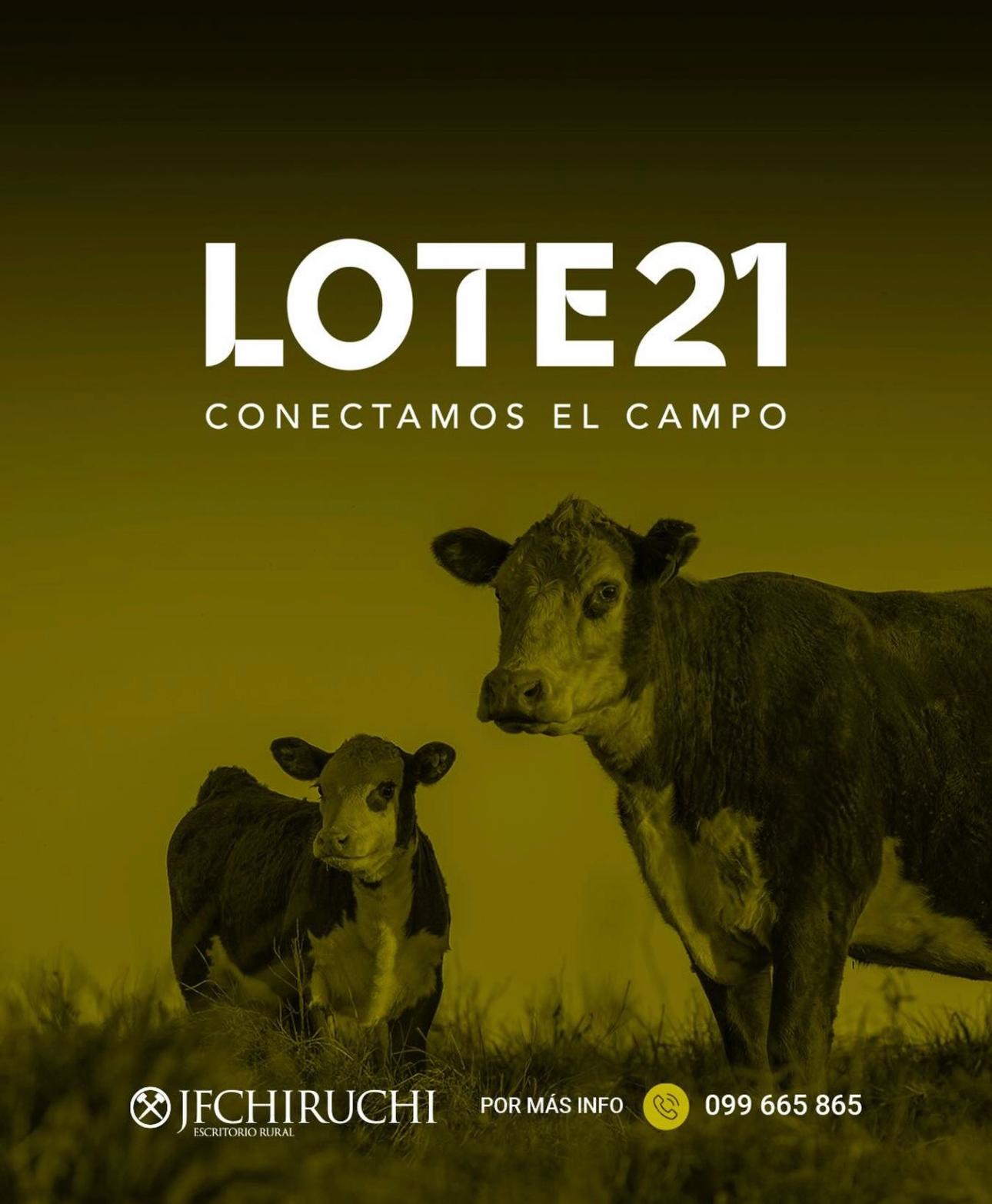 245º remate Lote21
