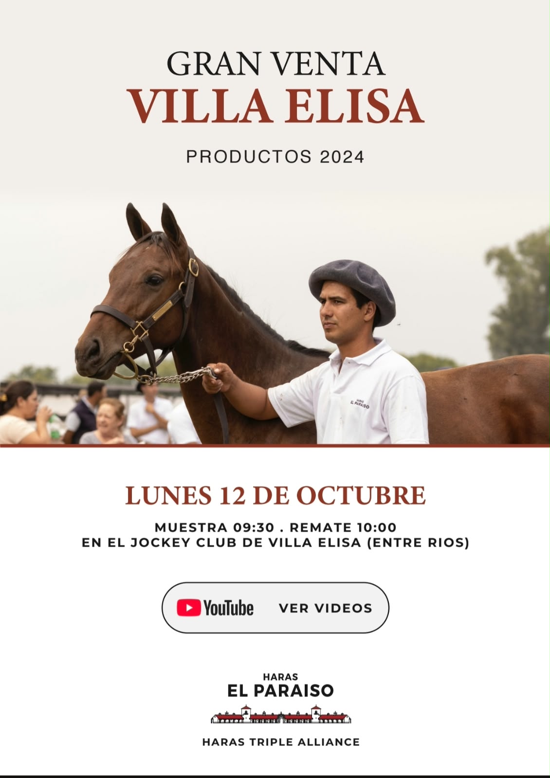 Afiche Gran venta Villa Elisa Productos 2024