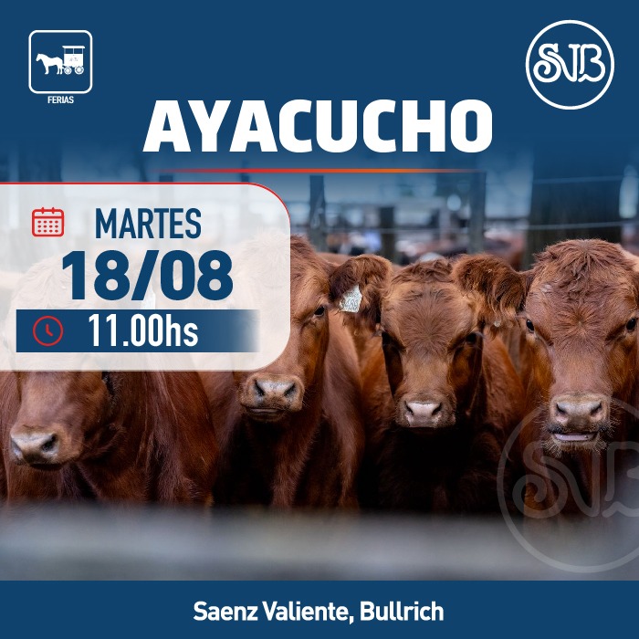 Feria en Ayacucho