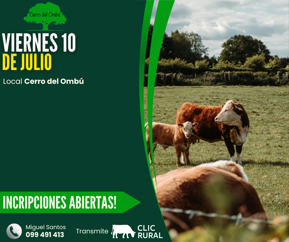 Remate Feria mensual - Cerro del Ombu