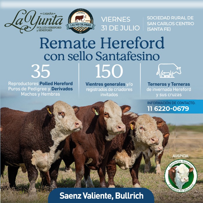 Hereford con sello Santafesino