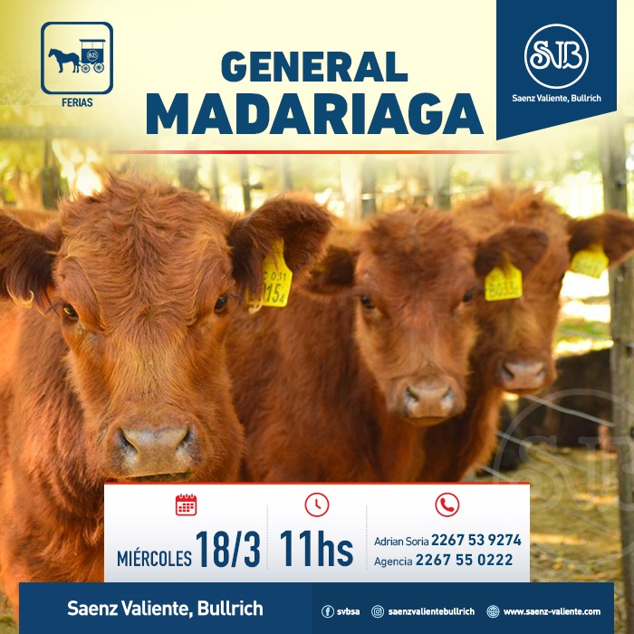 Feria en Gral. Madariaga