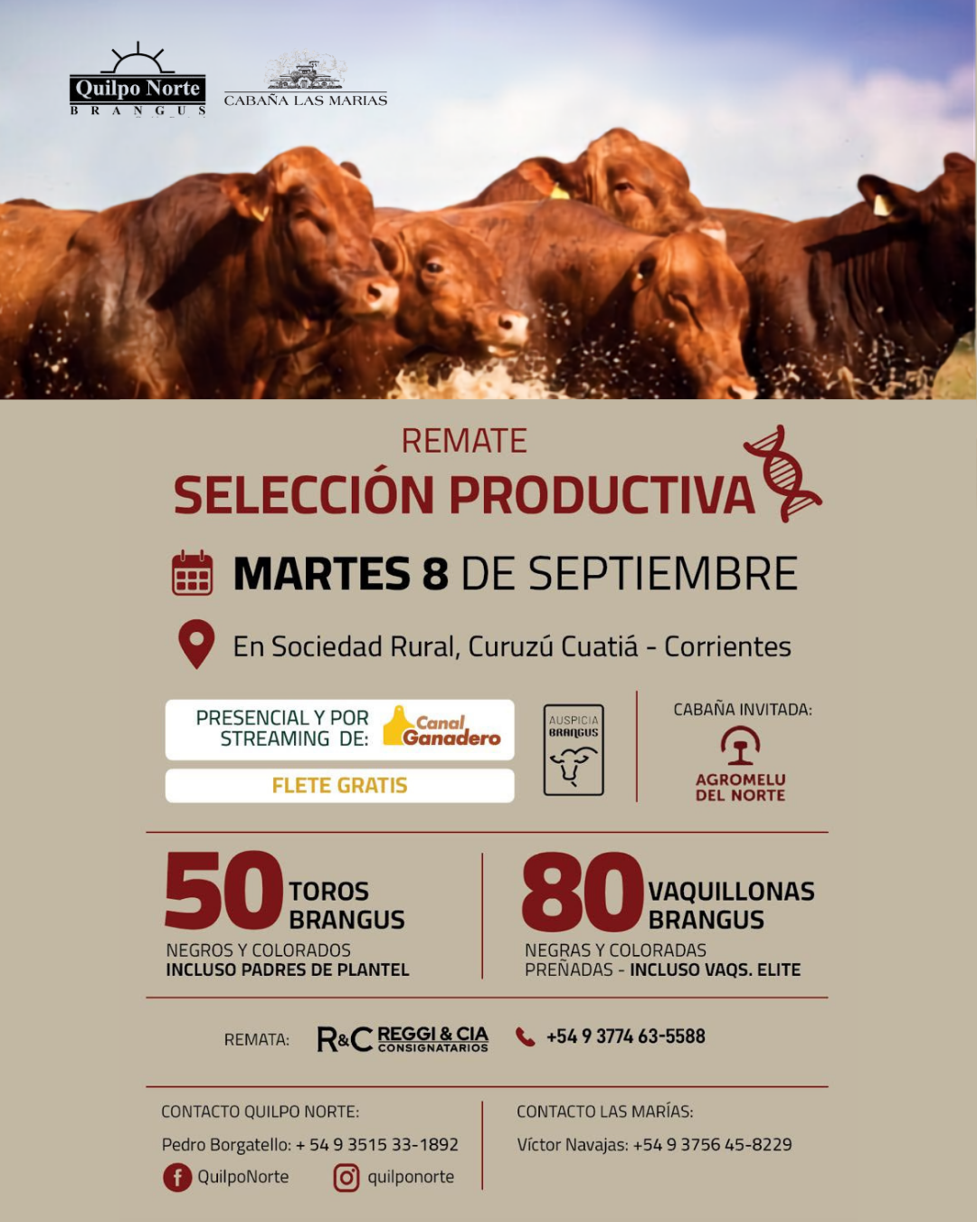 Afiche Remate selección productiva 