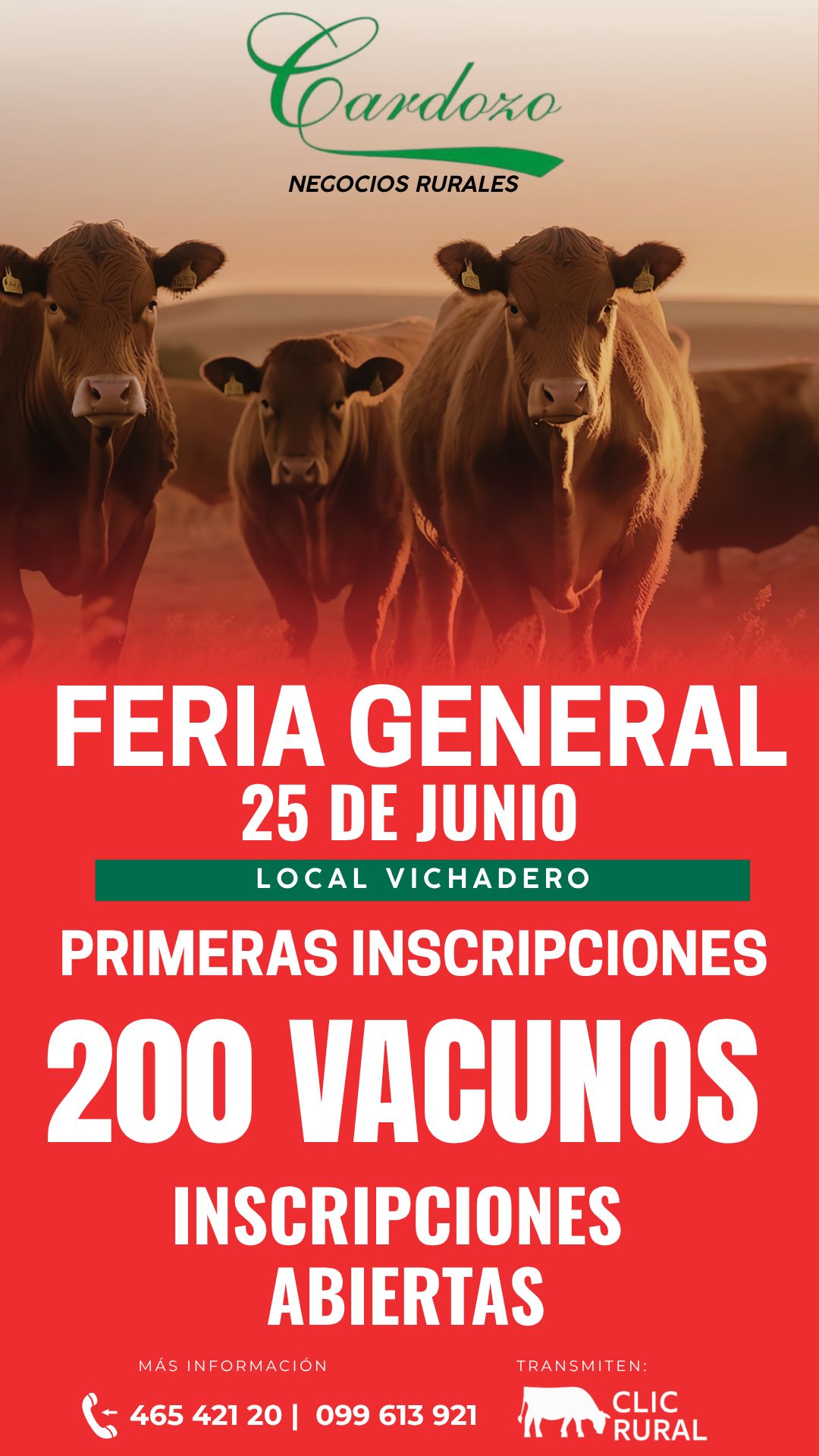 Remate Feria General - Cardozo Negocios Rurales