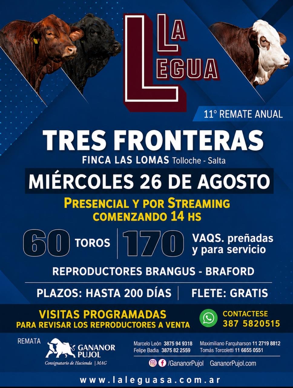 Afiche 11° Remate Anual Tres Fronteras  La Legua