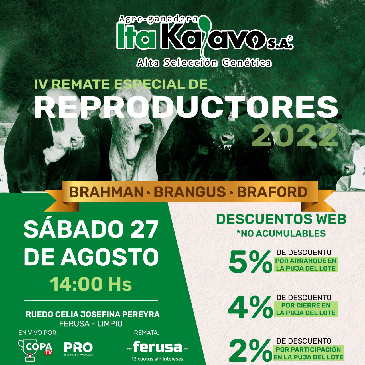 Afiche IV REMATE ESPECIAL DE REPRODUCTORES ITA KA´AVO