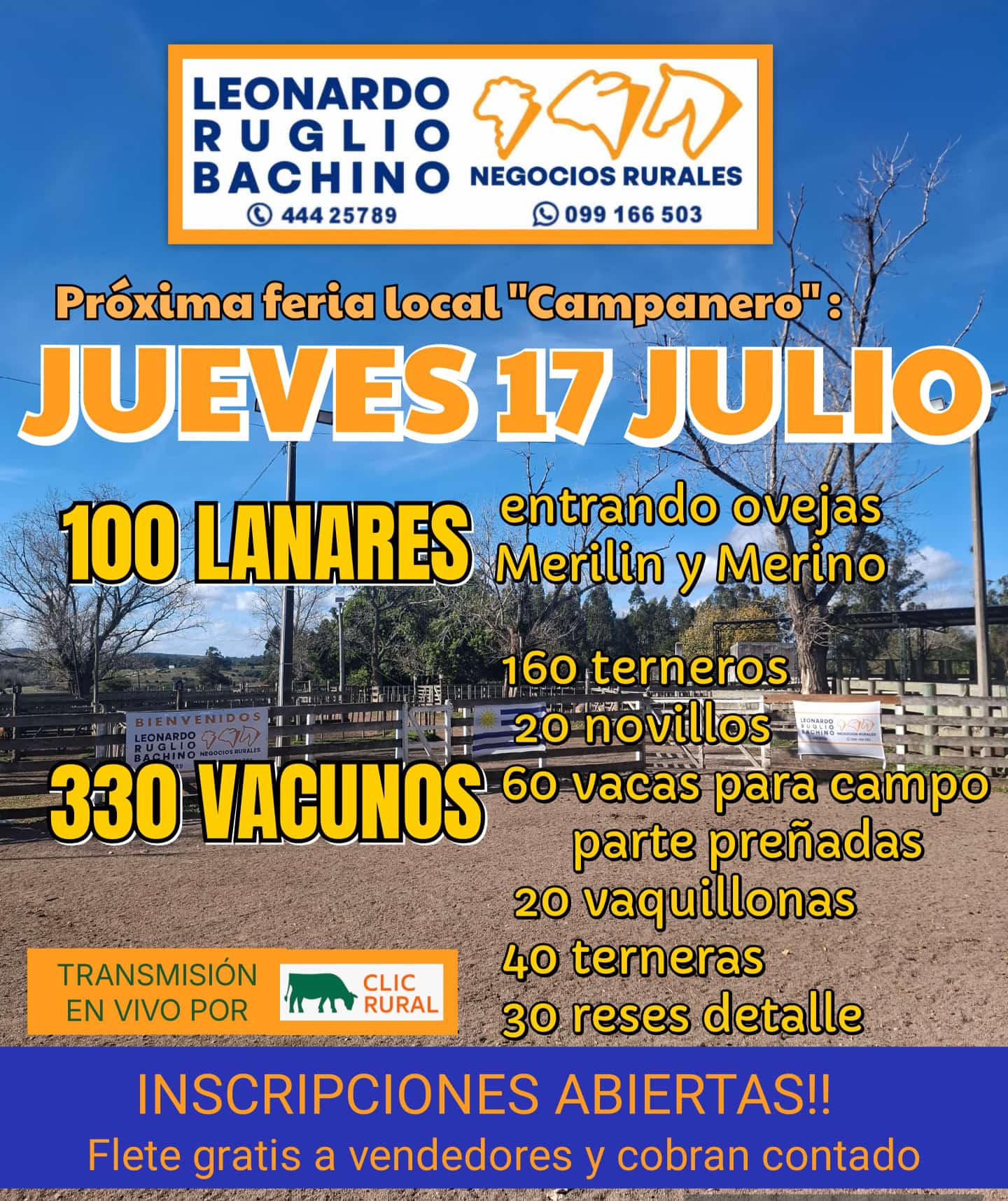 Afiche Feria Mensual - Leonardo Ruglio Bachino