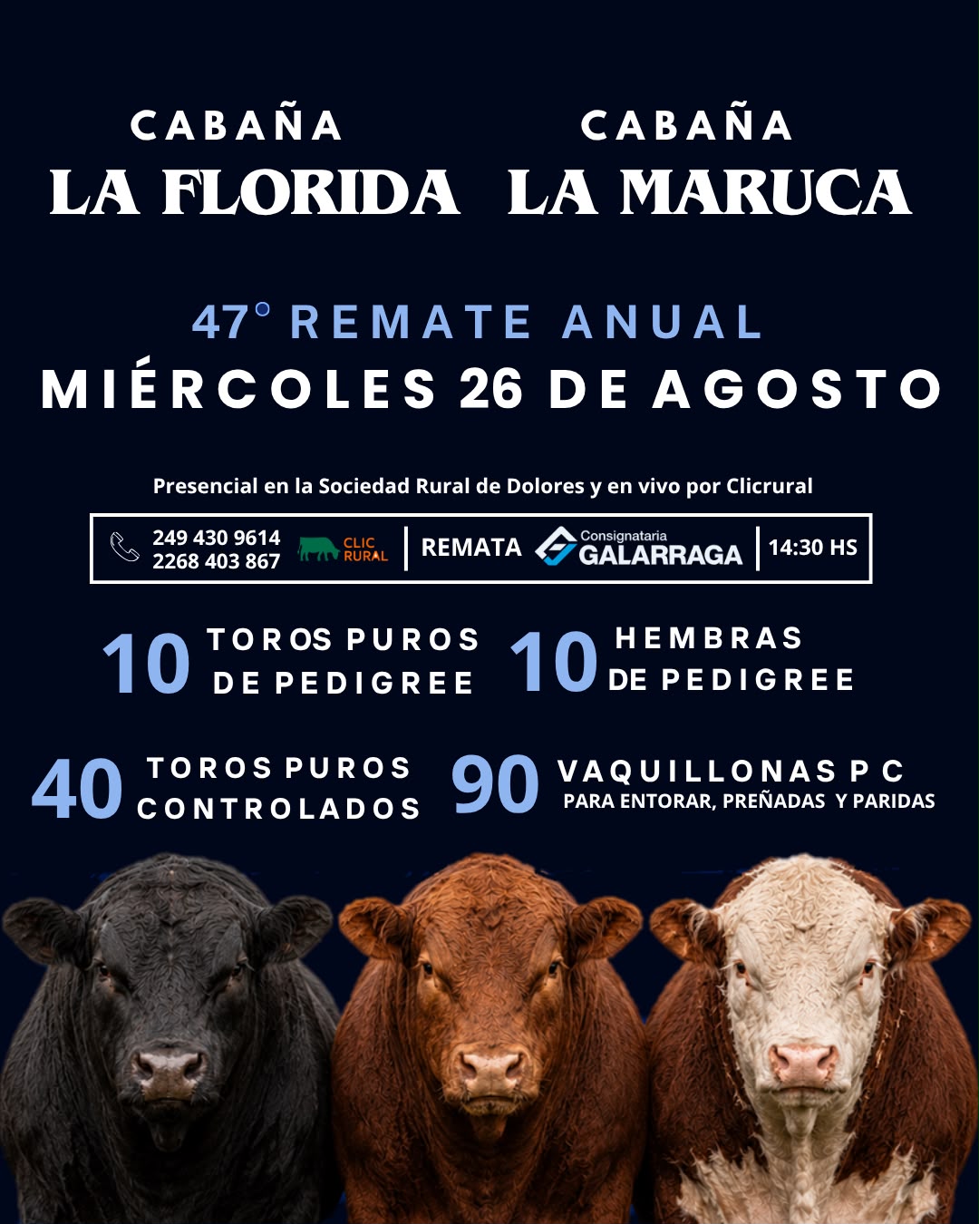 Remate Remate anual, Cabaña La maruca y Cabaña La florida