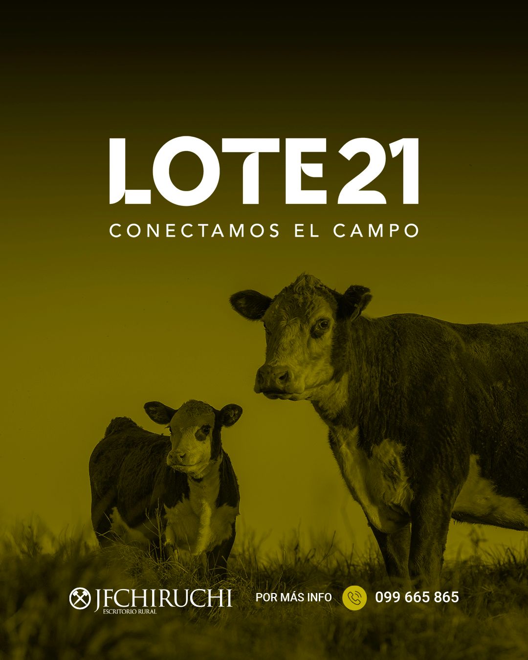 239º remate Lote21
