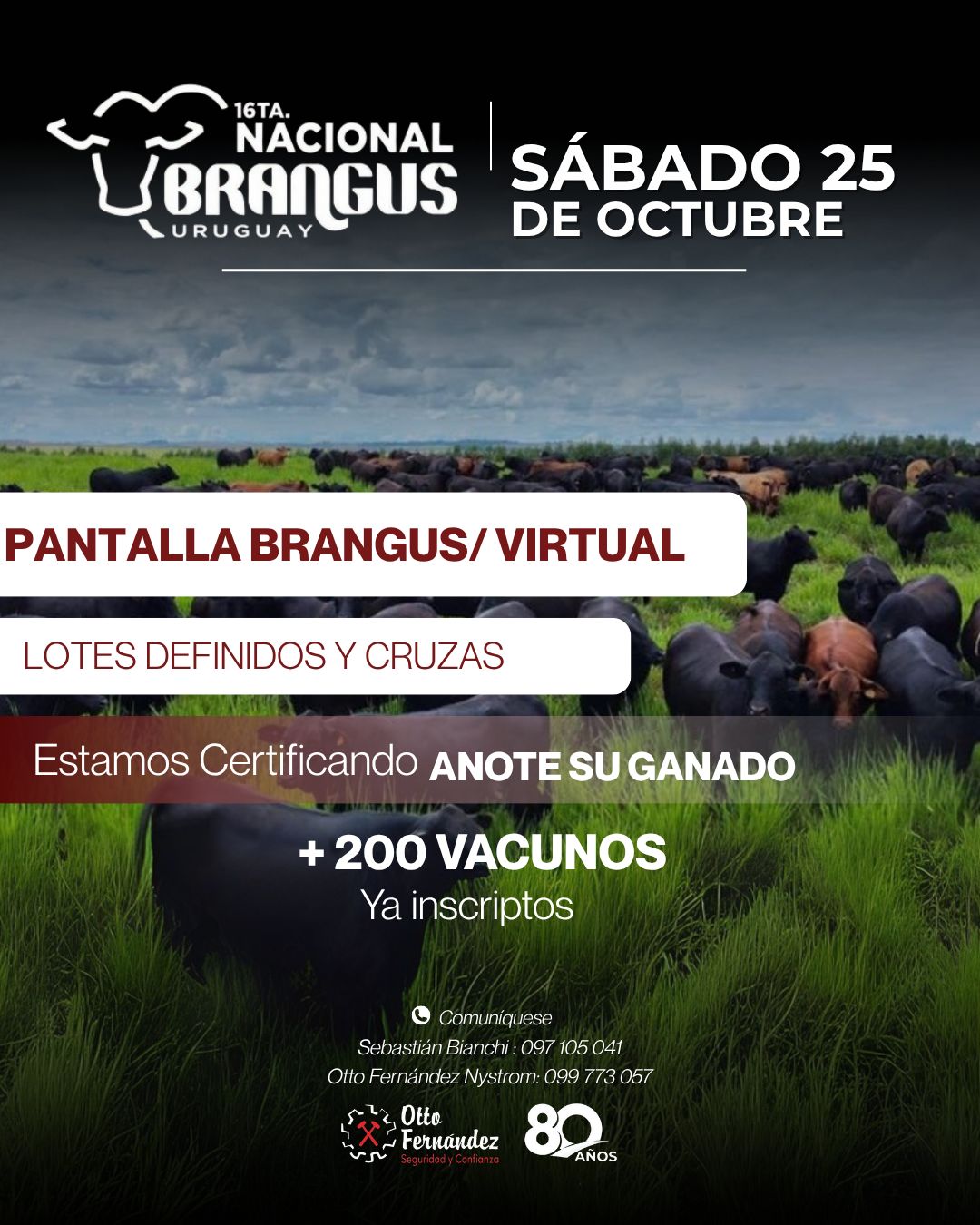 Remate 16º Nacional Brangus