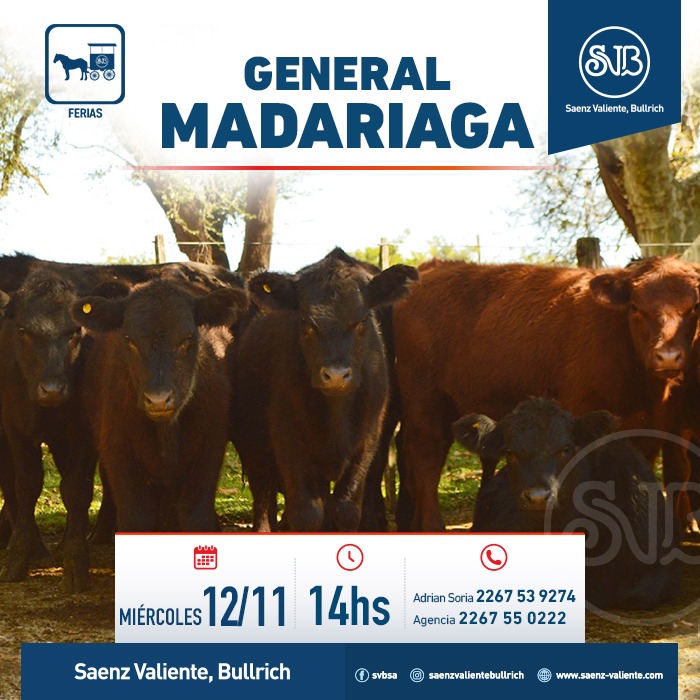 Feria en Gral. Madariaga