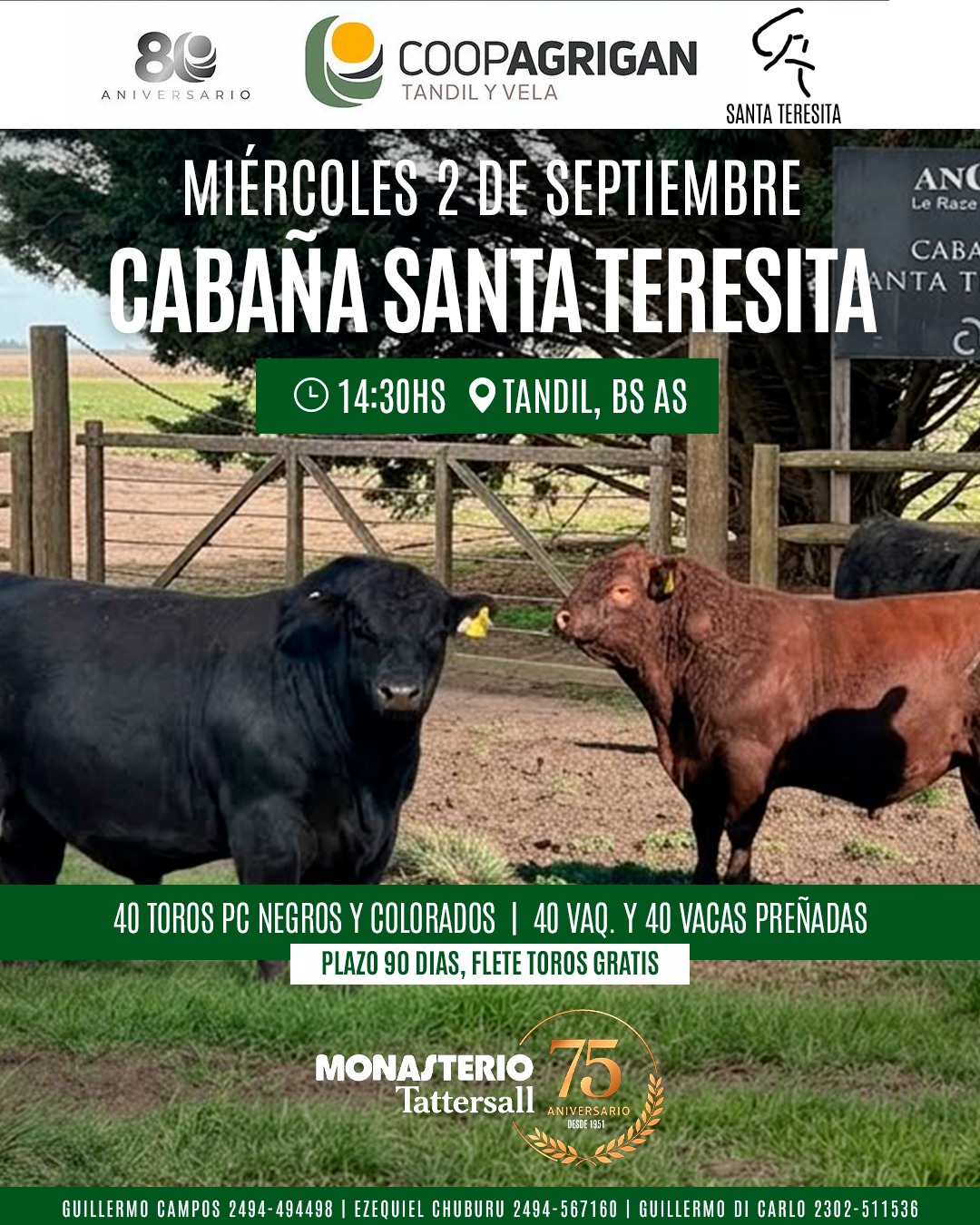 Remate Santa Teresita