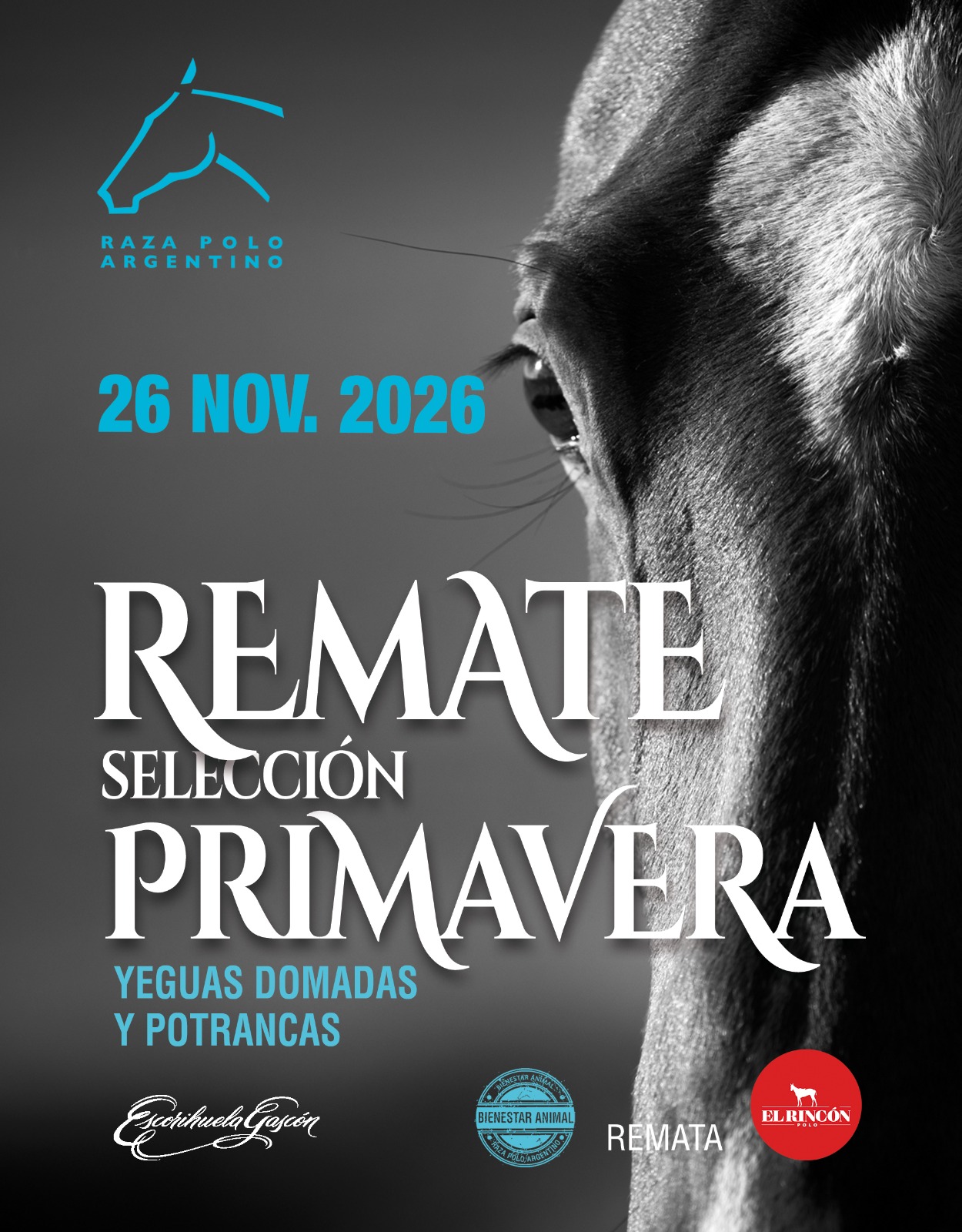 Afiche Remate selección primavera 