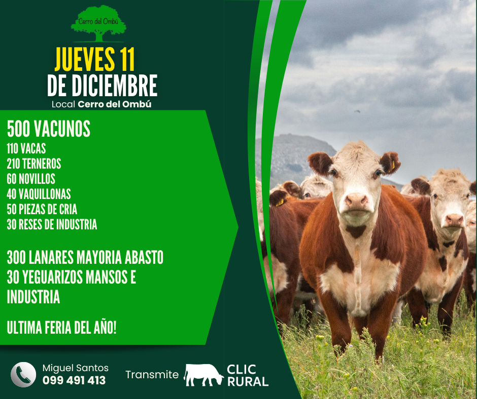 Remate Feria Mensual - Cerro del Ombu