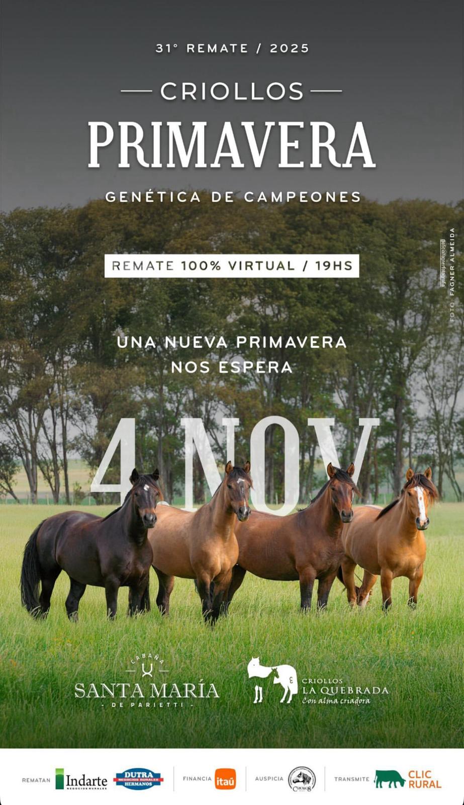 Remate 31º Criollos Primavera