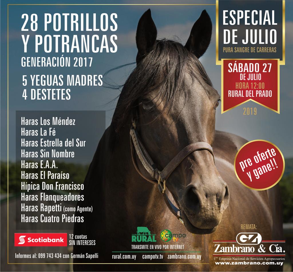 Afiche REMATE ESPECIAL SPC