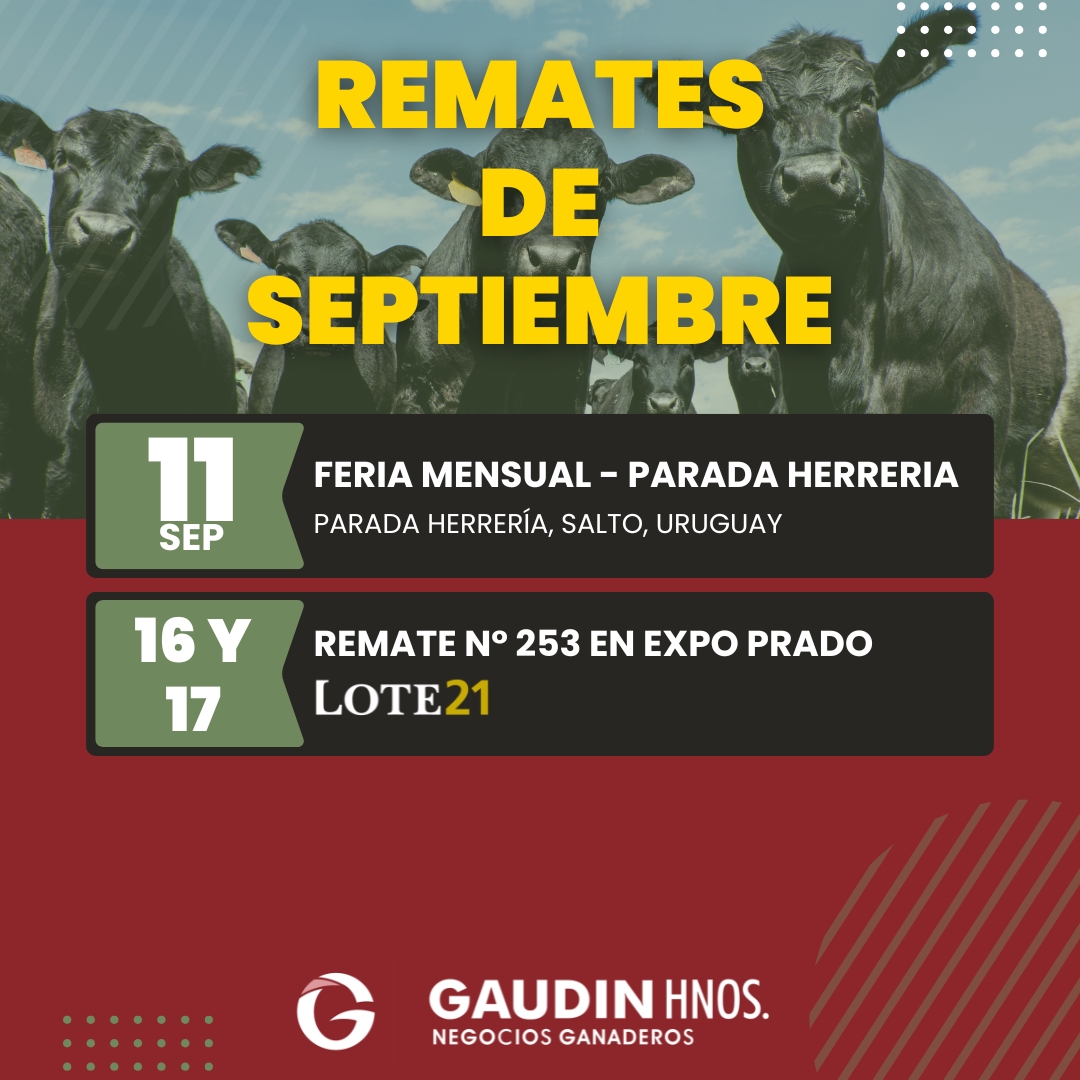 Afiche Feria mensual - Gaudin Hnos
