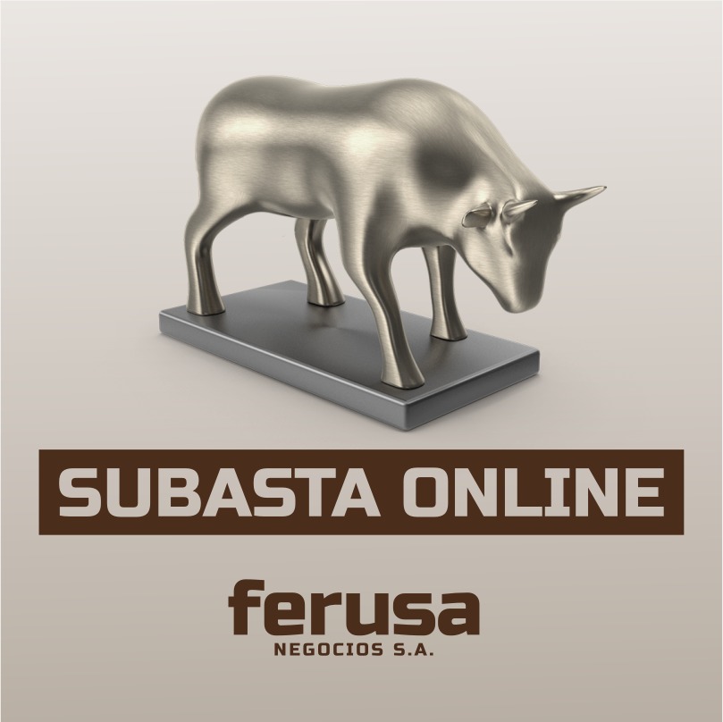 Afiche SUBASTA ONLINE