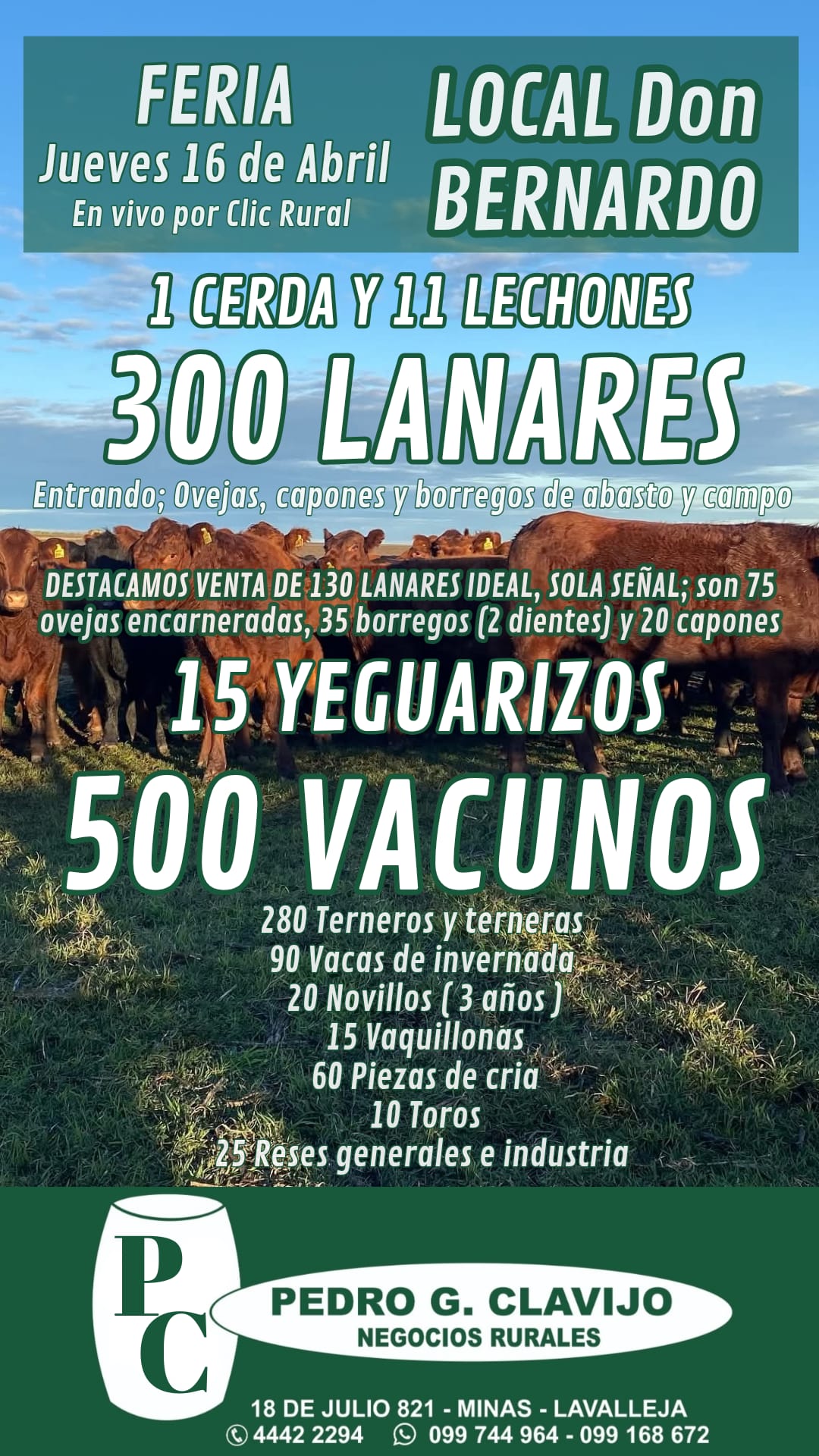 Feria Mensual - Local Don Bernardo