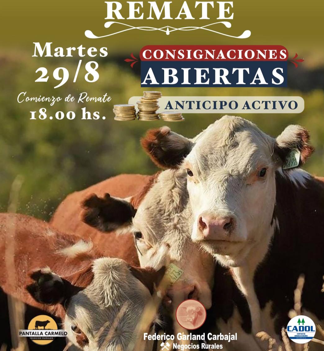 Afiche #35 Pantalla Carmelo