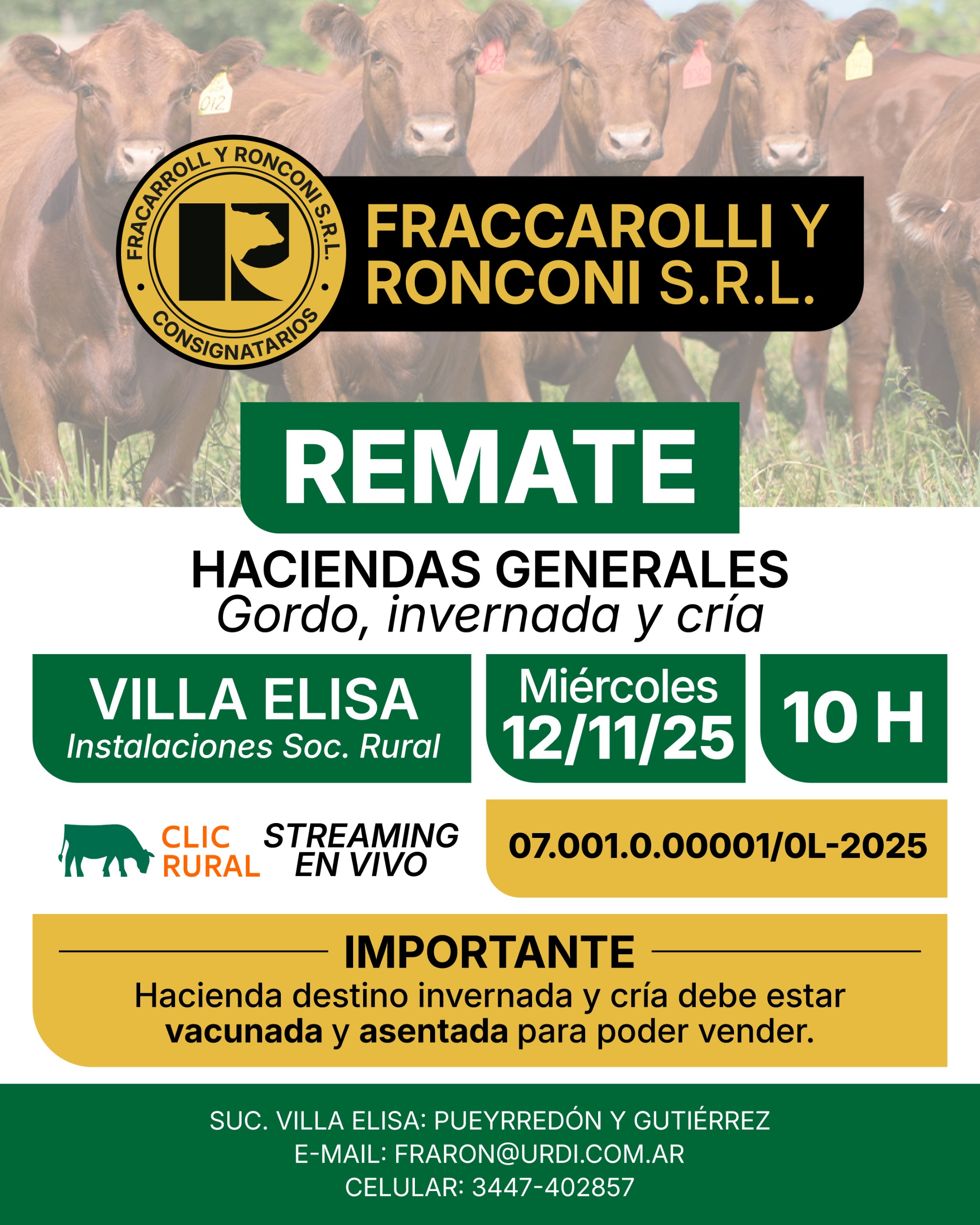 Remate 12 de Noviembre - Villa Elisa
