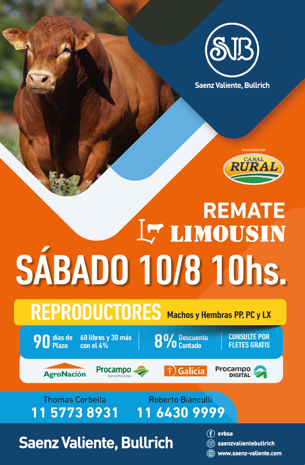 saenz-valiente-bullrich-y-cia-s-a-limousin