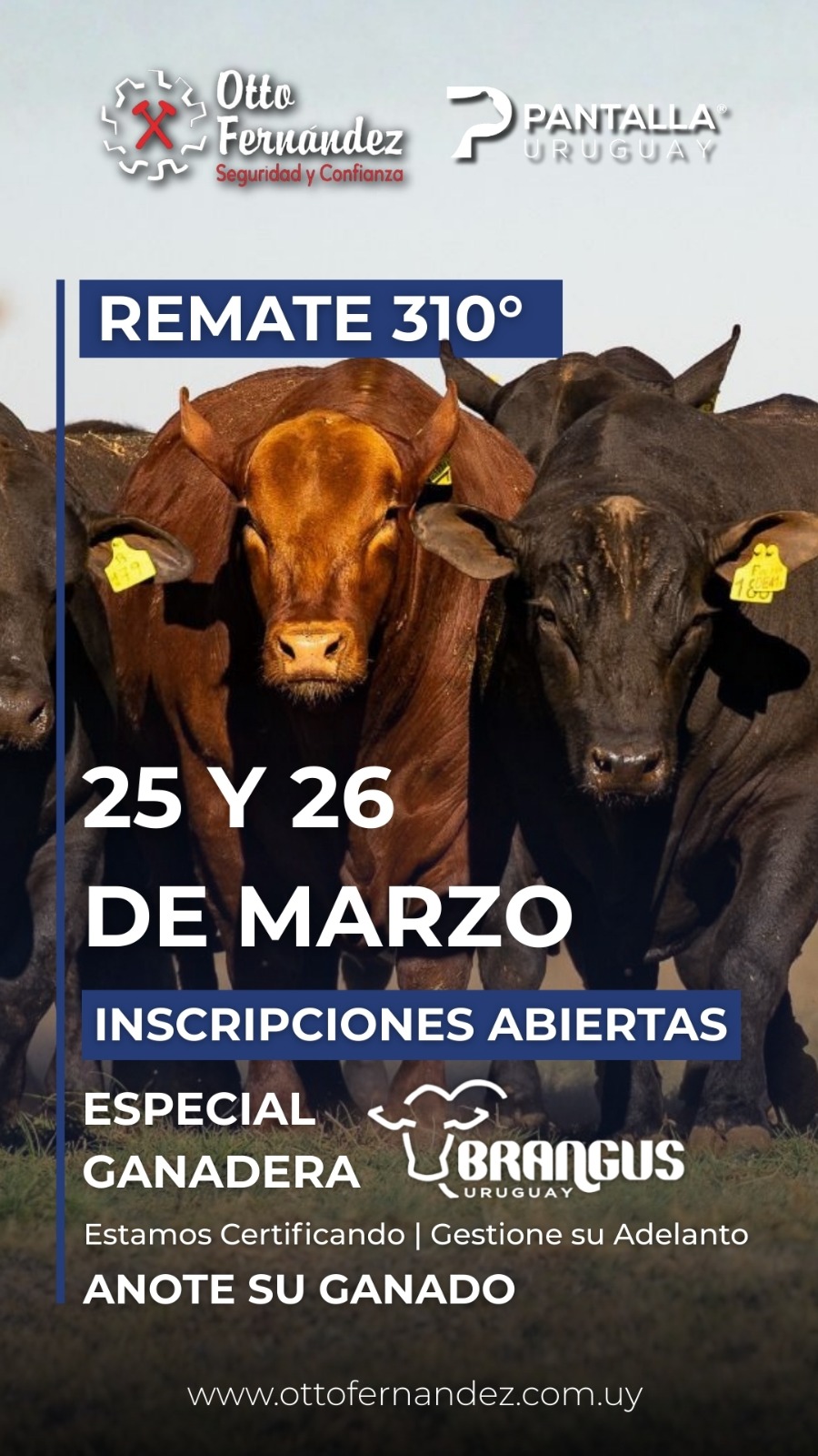 310º remate Pantalla Uruguay