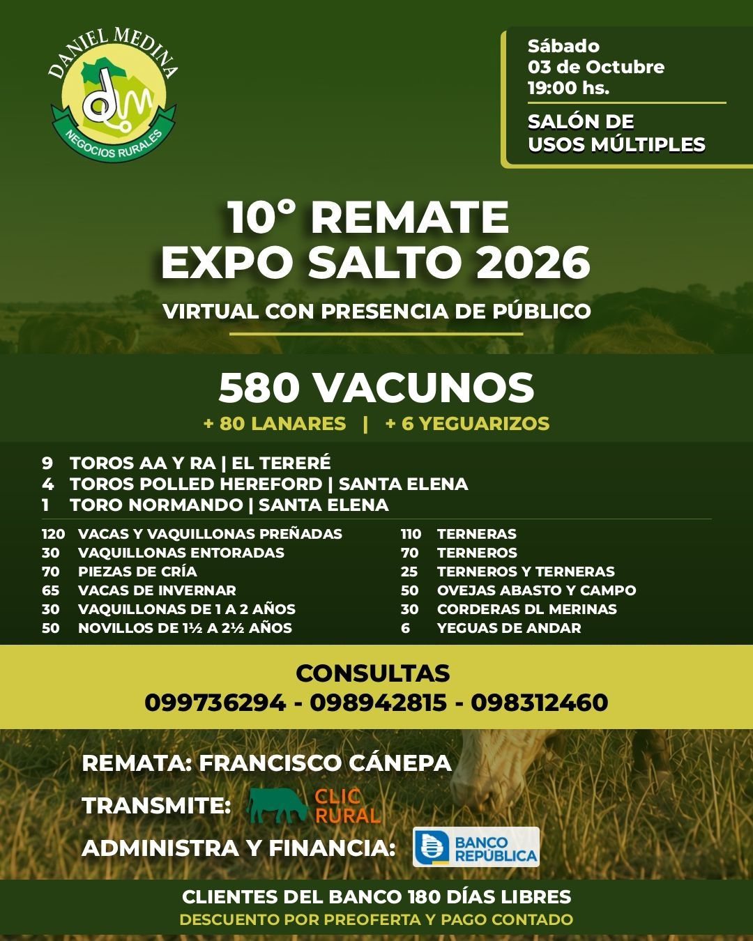 Afiche 10º Expo Salto 2