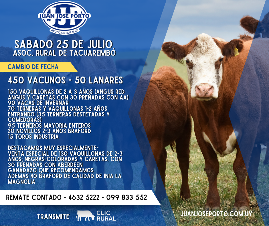 Feria mensual - Juan Jose Porto