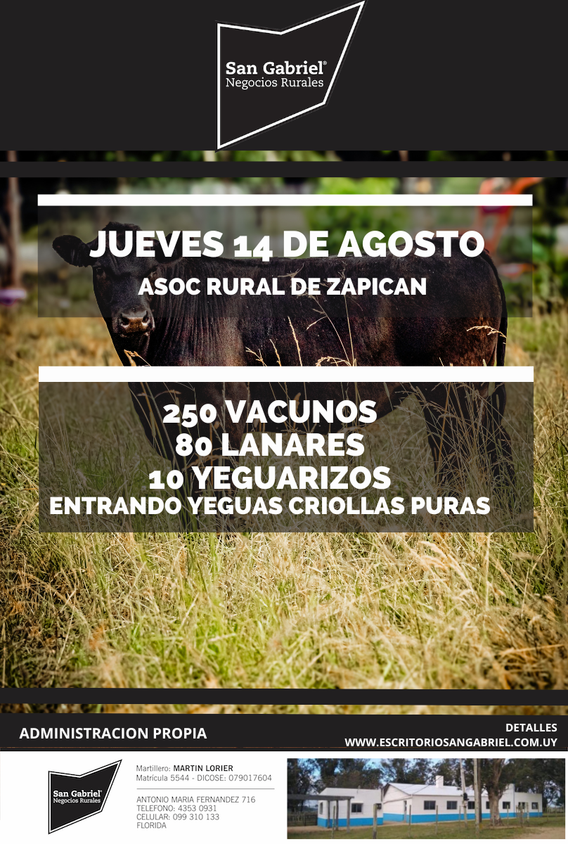 Remate Feria Mensual - Asoc Rural de Zapican