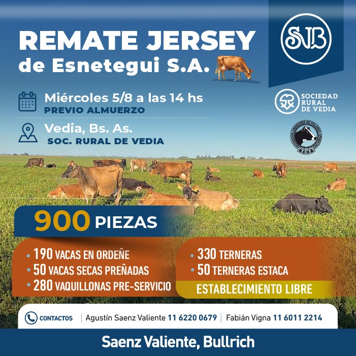 Afiche Jersey de Esnetegui S.A.