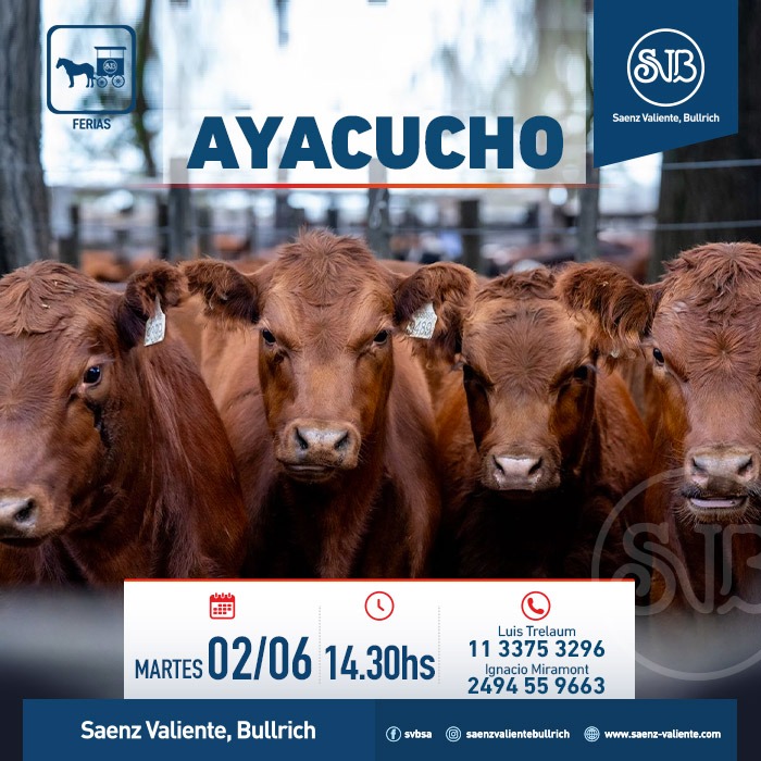 Feria en Ayacucho