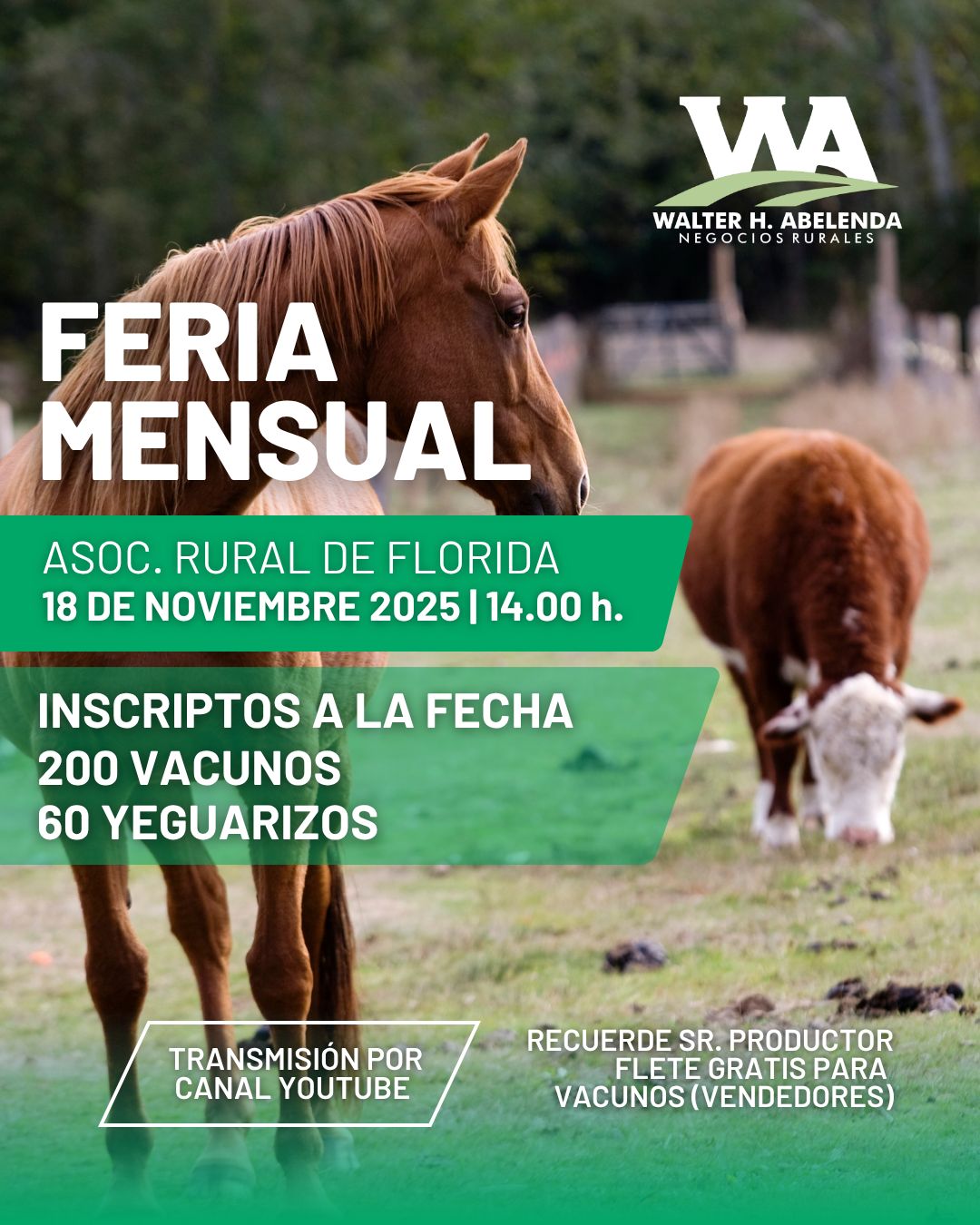 Feria Mensual