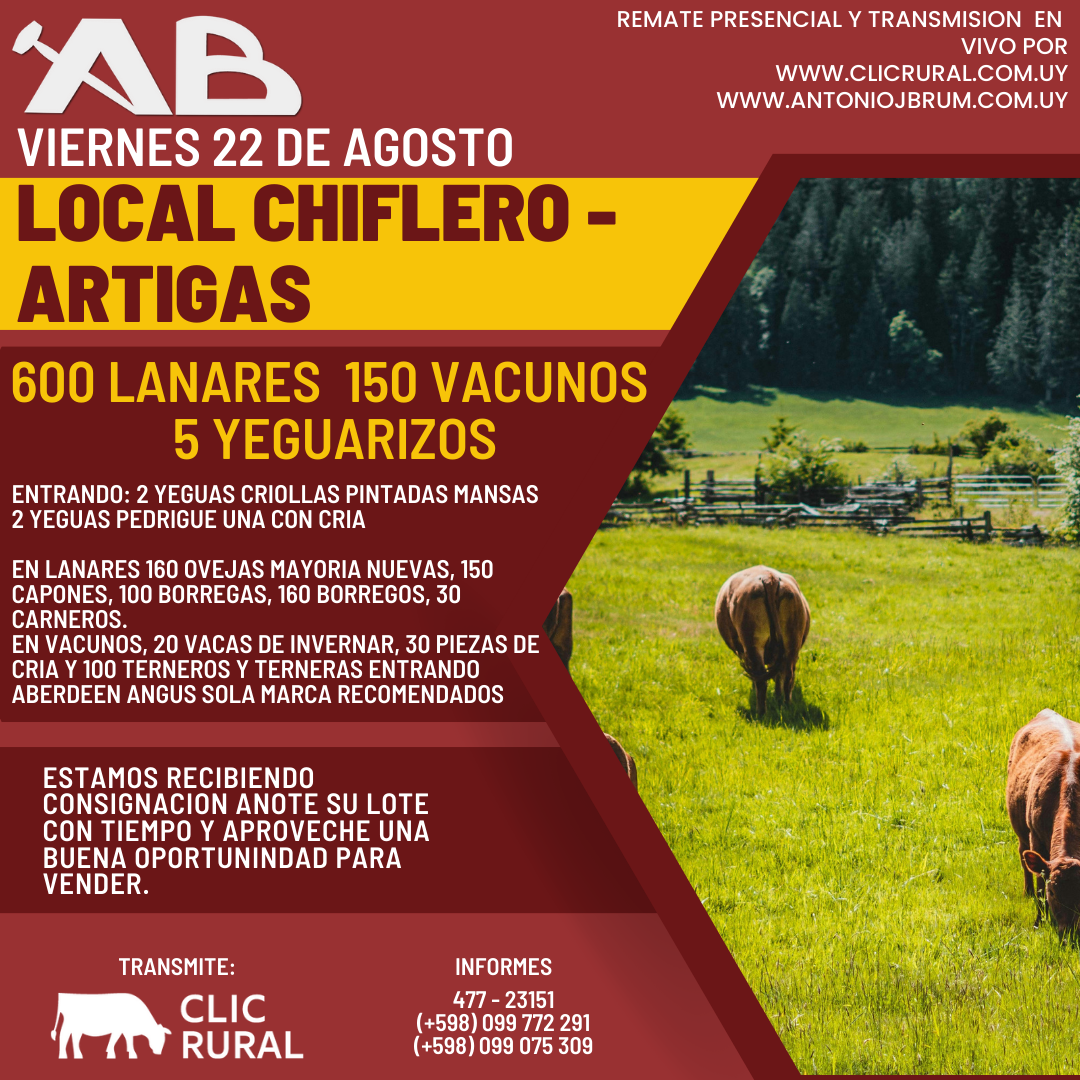 Antonio J Brum - Local Chiflero