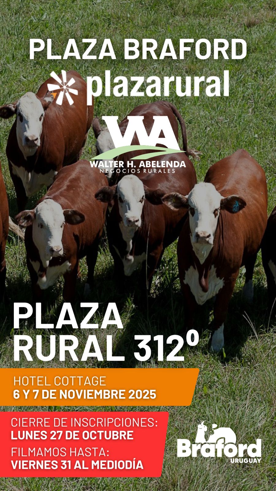 312º remate Plaza Rural