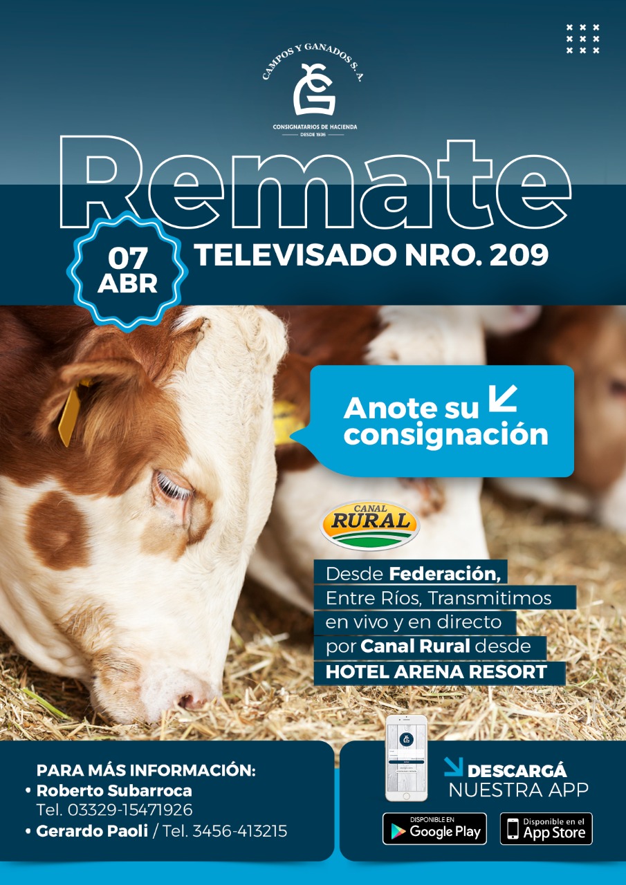 Afiche 209º REMATE POR PANTALLA