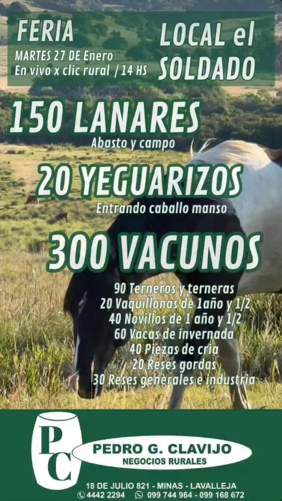 Remate Feria Mensual - Pedro G Clavijo