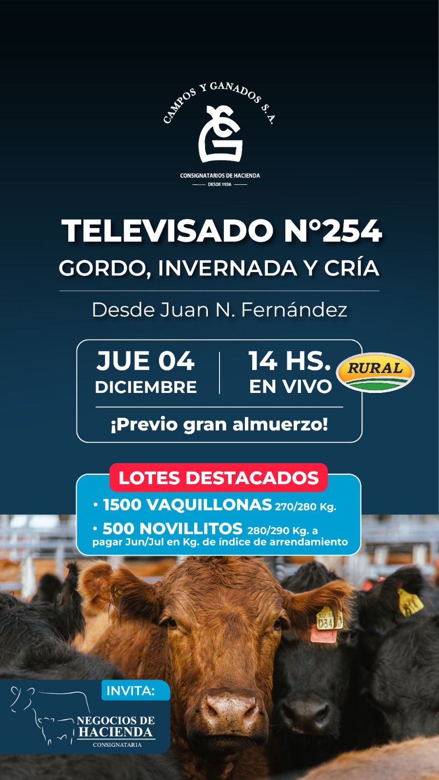 Afiche 254° REMATE POR PANTALLA