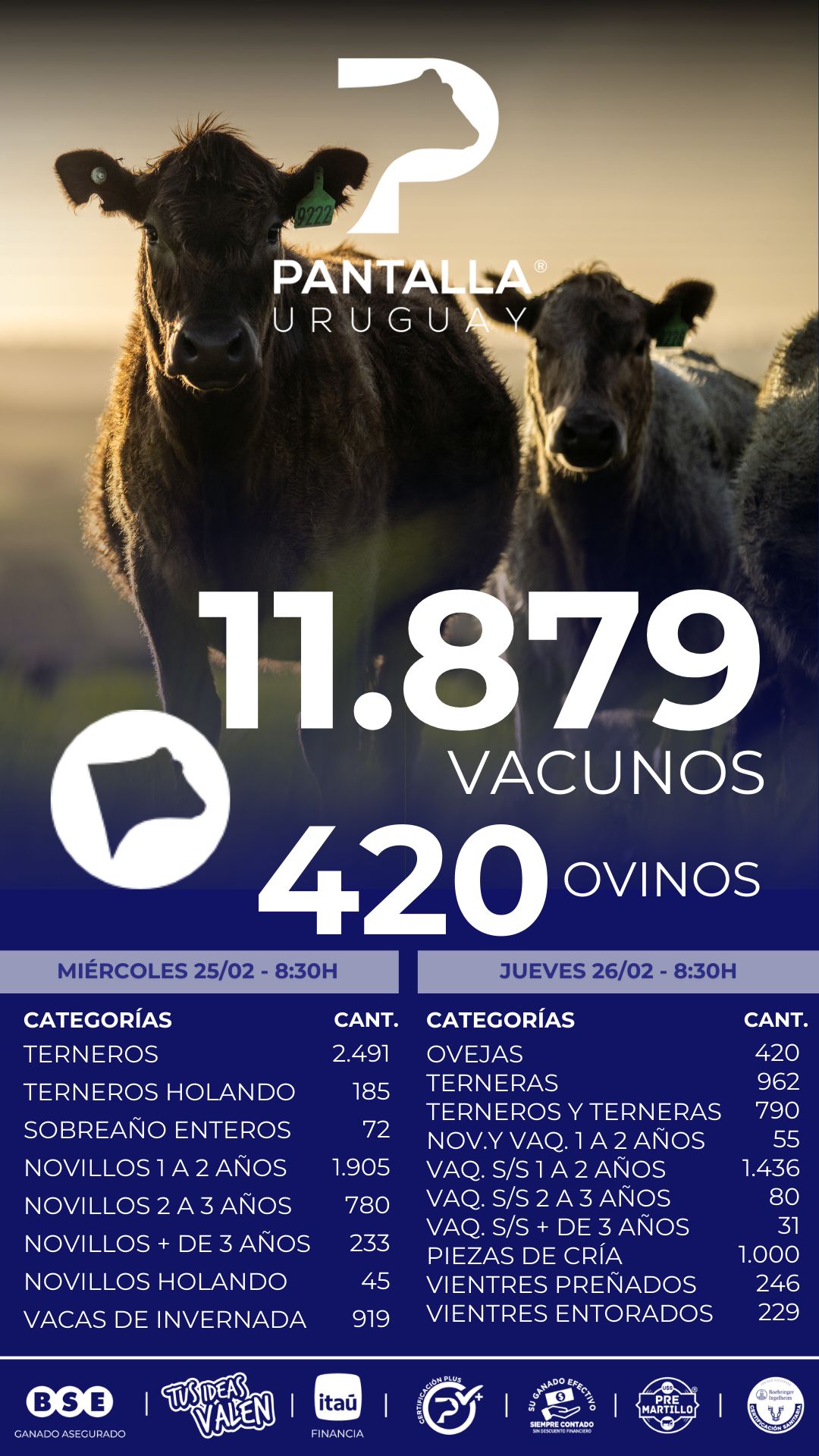 308º remate Pantalla Uruguay