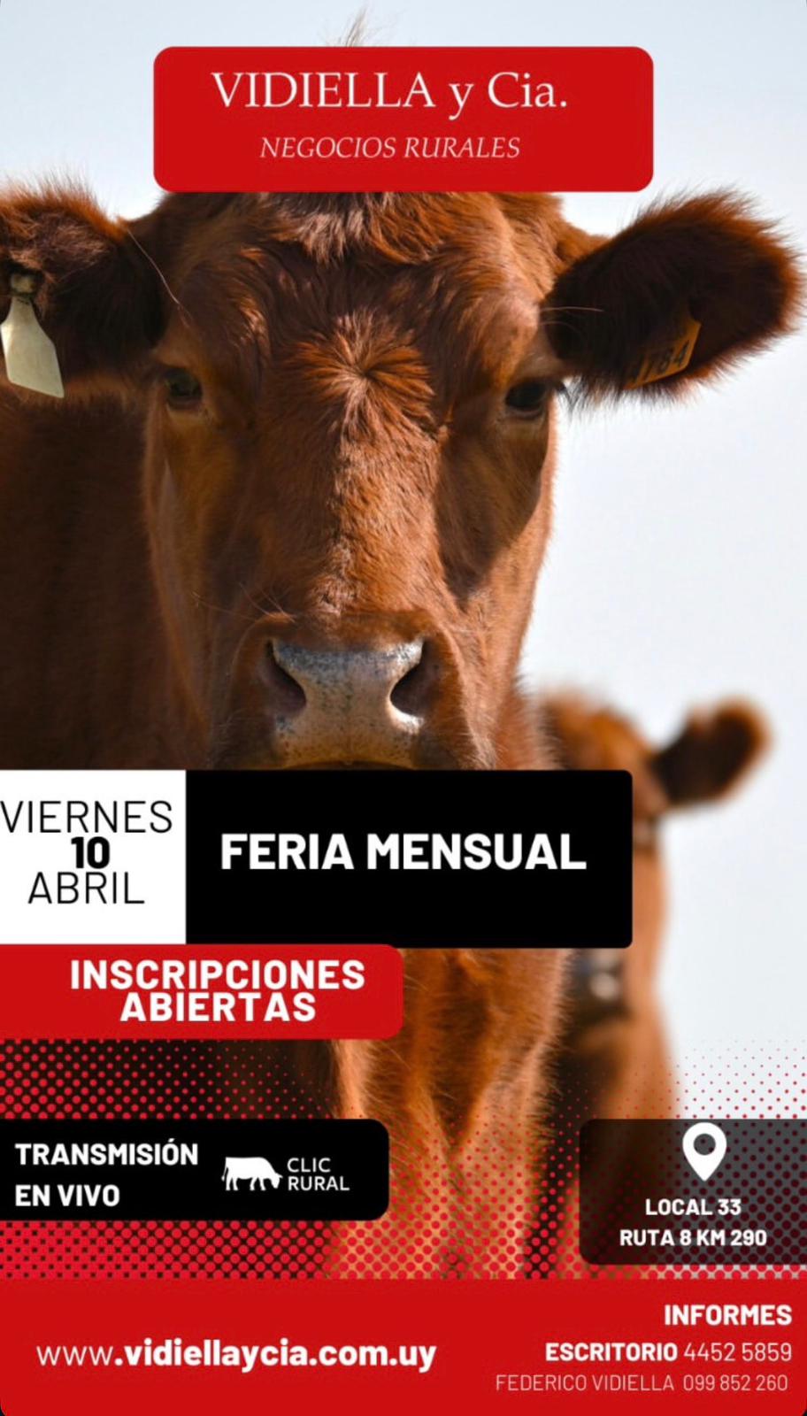 Remate Feria Mensual - Vidiella y Cia