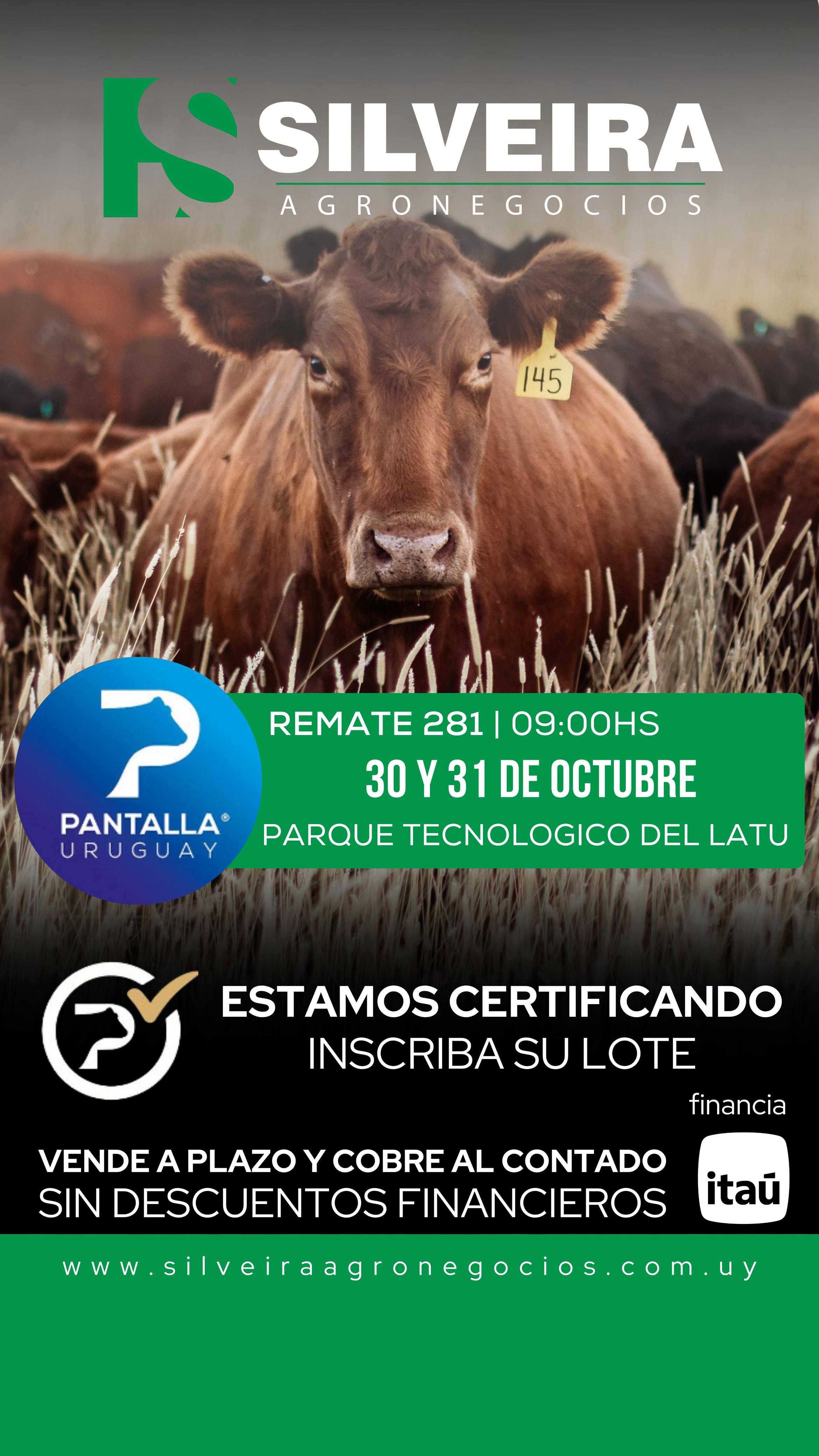 301º remate Pantalla Uruguay