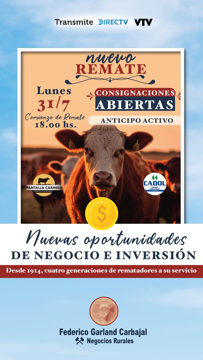 Afiche PANTALLA CARMELO