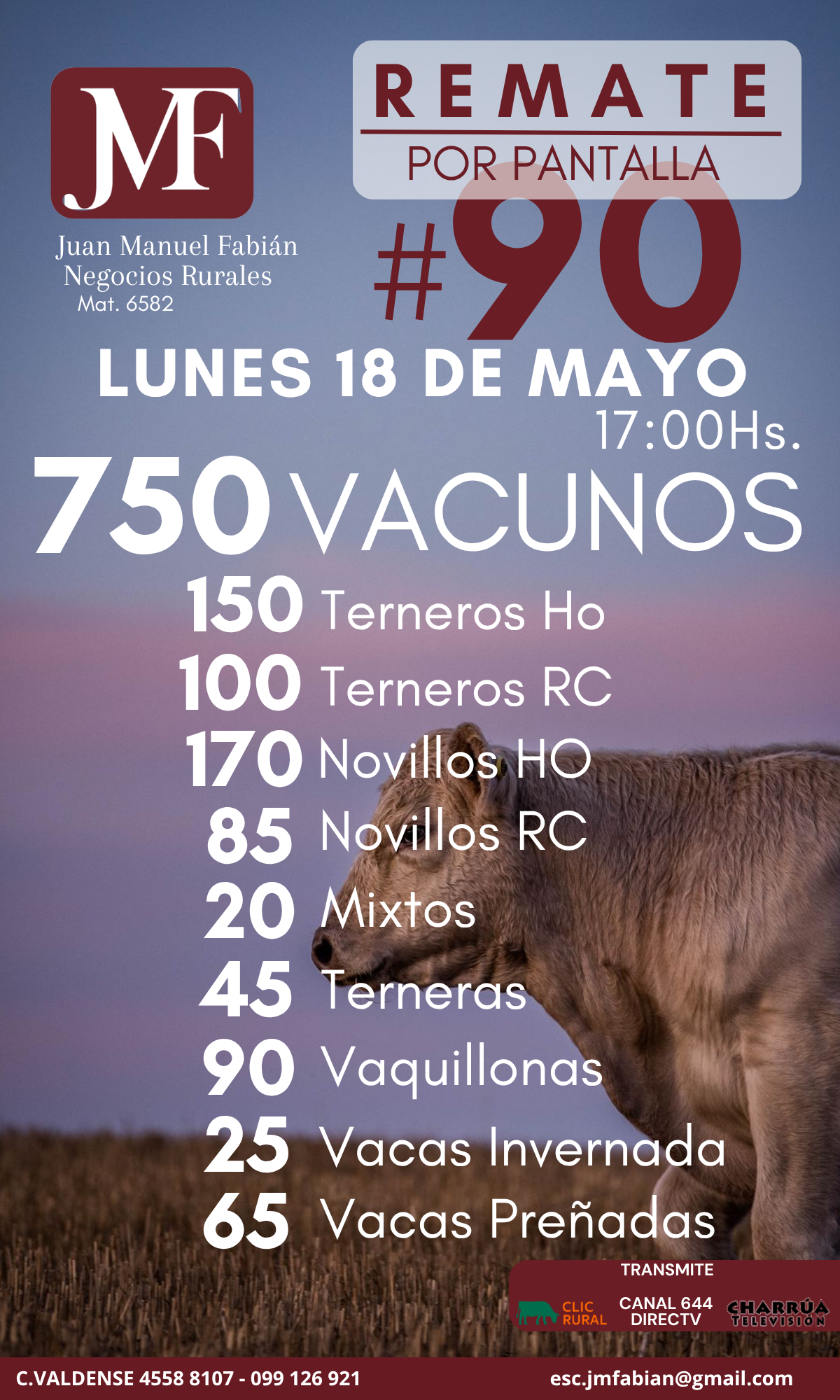 90 Remate por pantalla