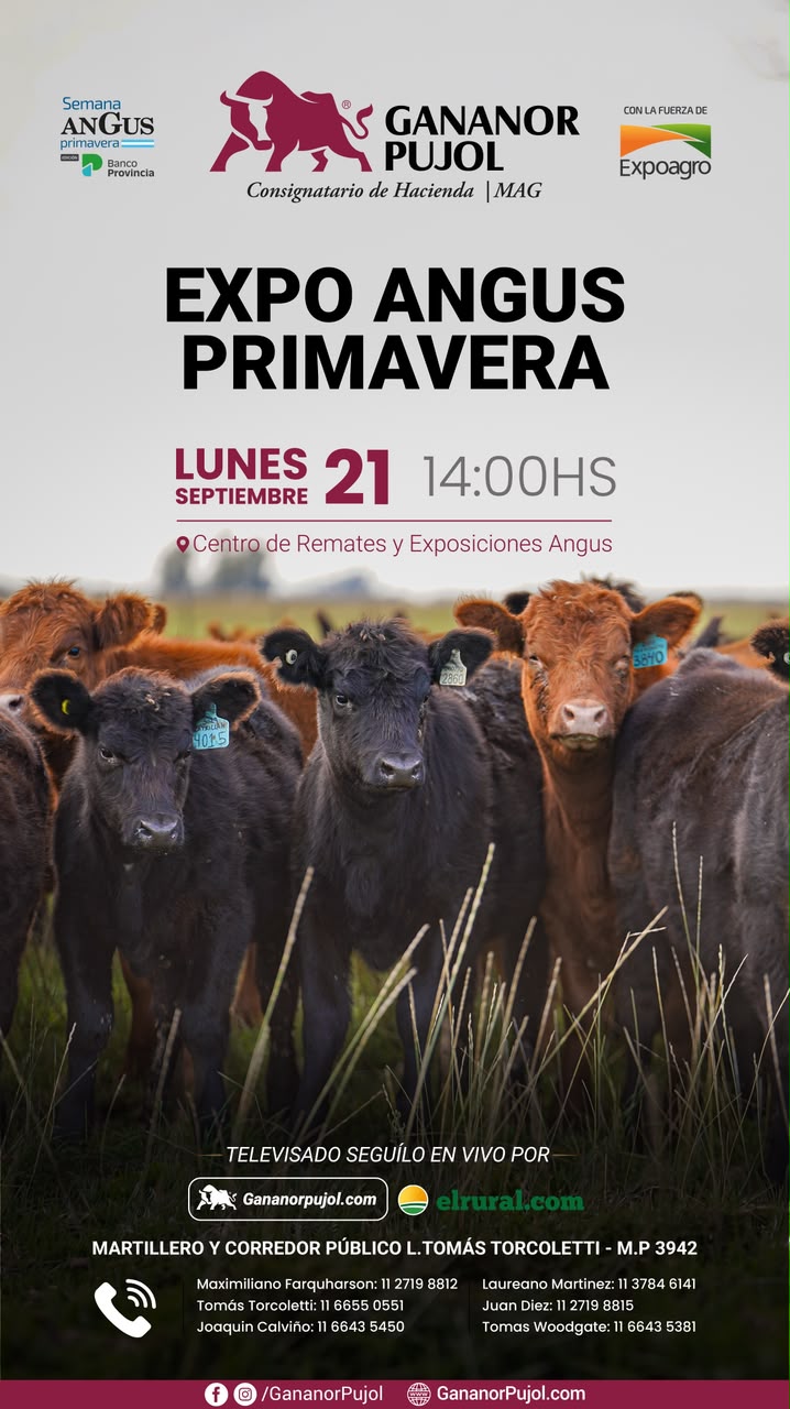 Remate Expo Angus primavera 