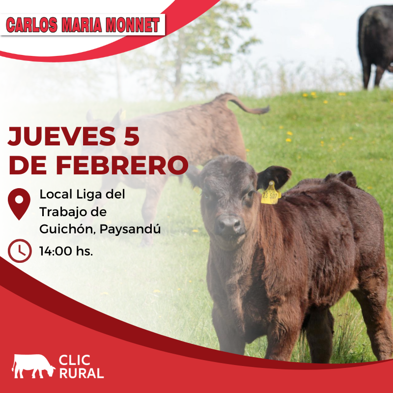 Remate Feria en Guichon