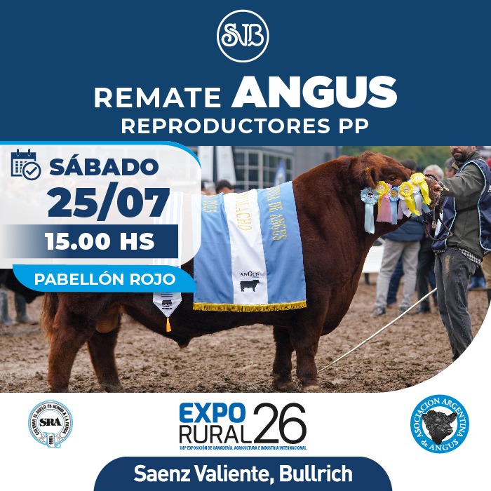 Angus - Reproductores PP