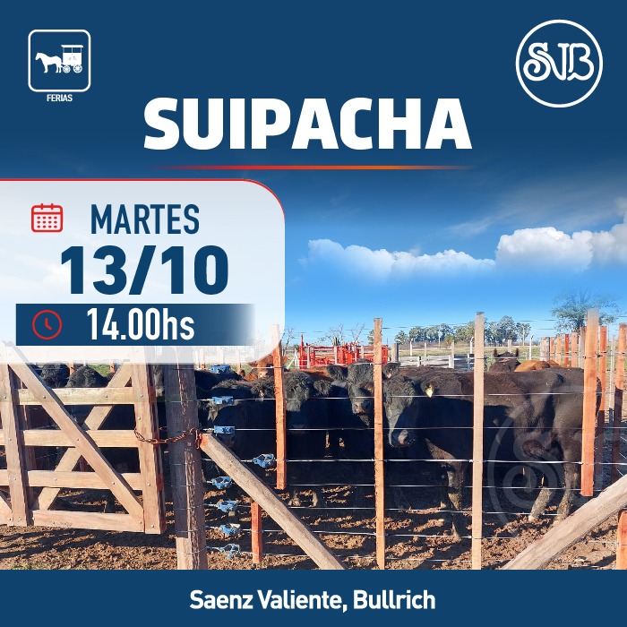 Remate Feria en Suipacha