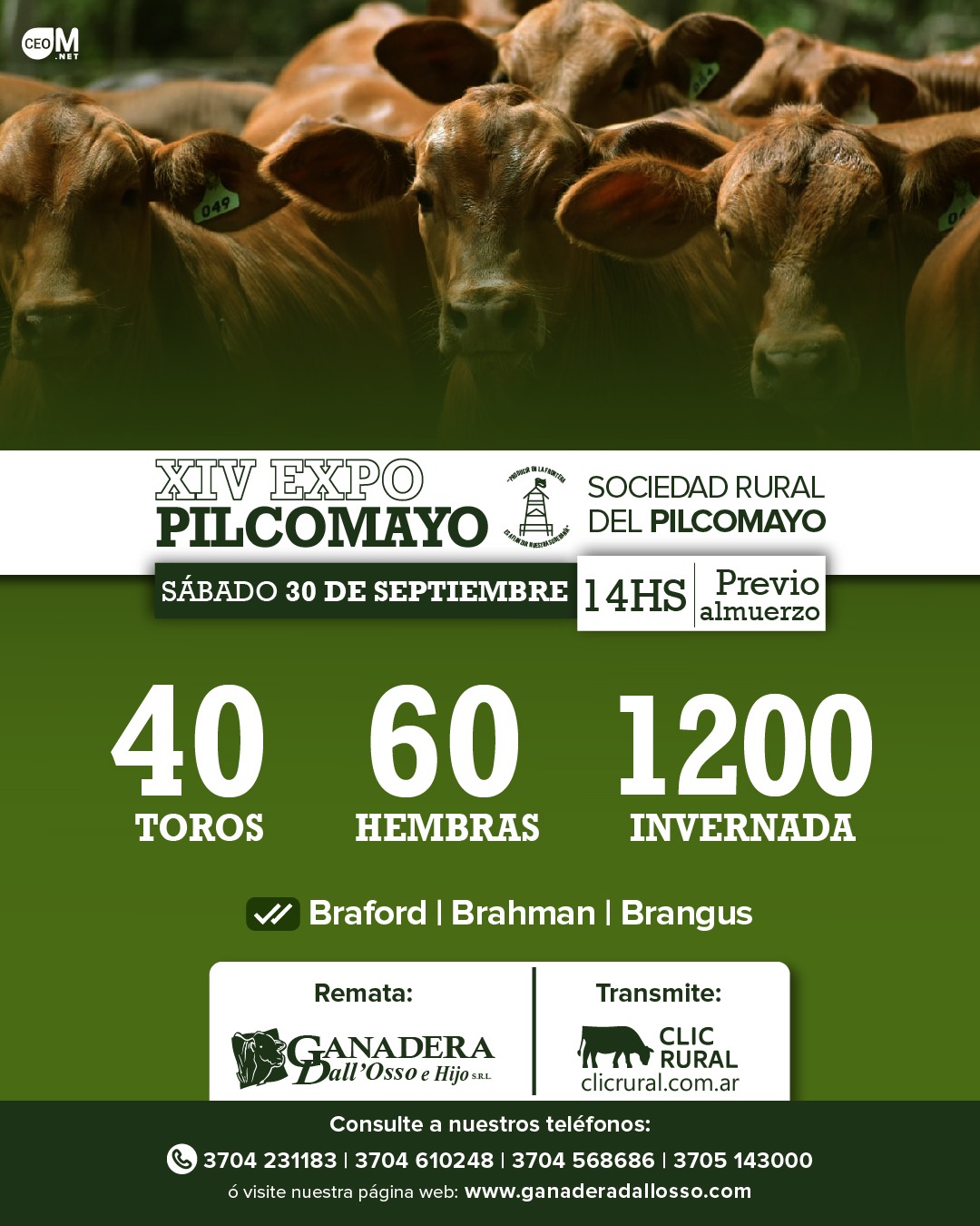 Afiche XIV Expo Pilcomayo
