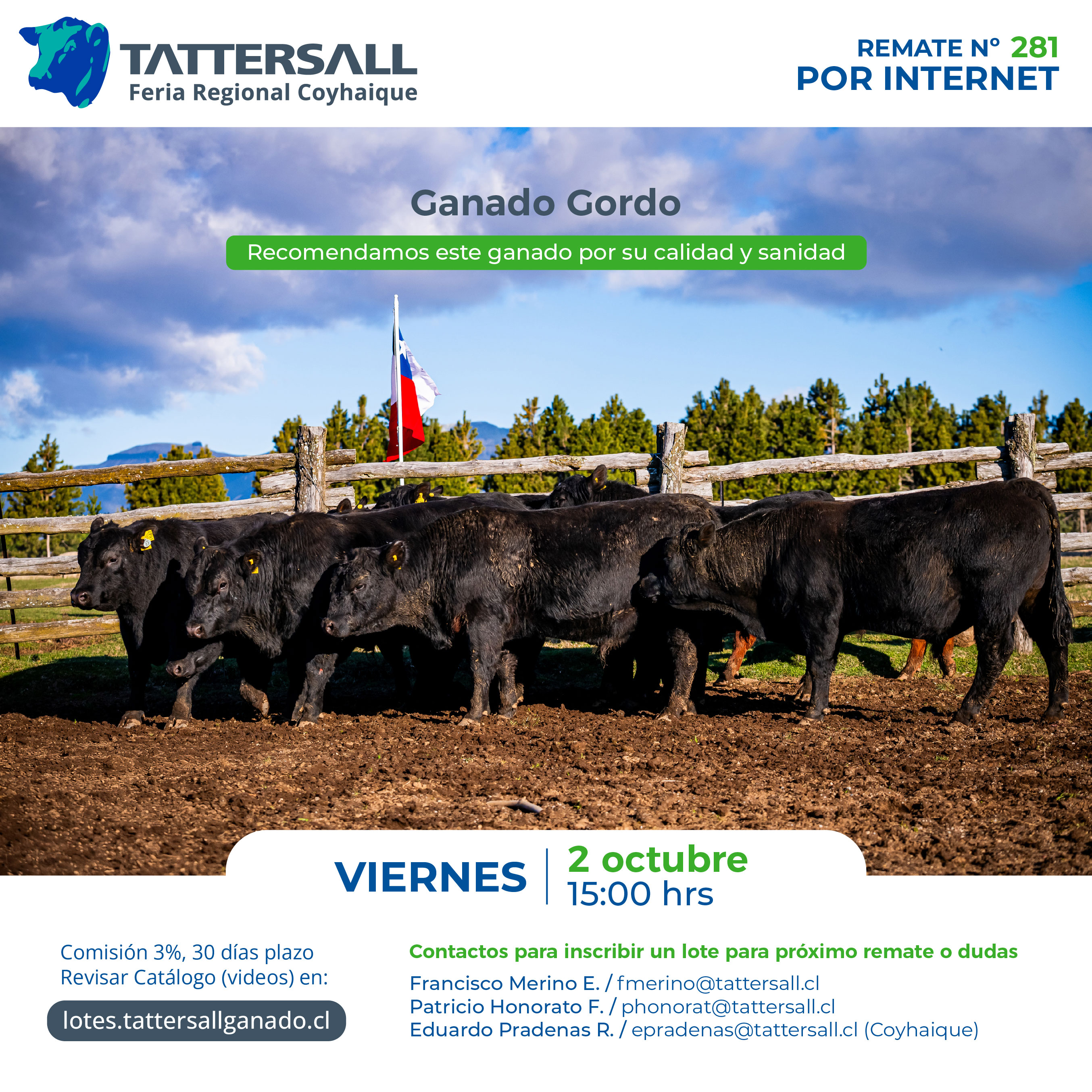 Remate 14° Remate de Toros de la Patagonía