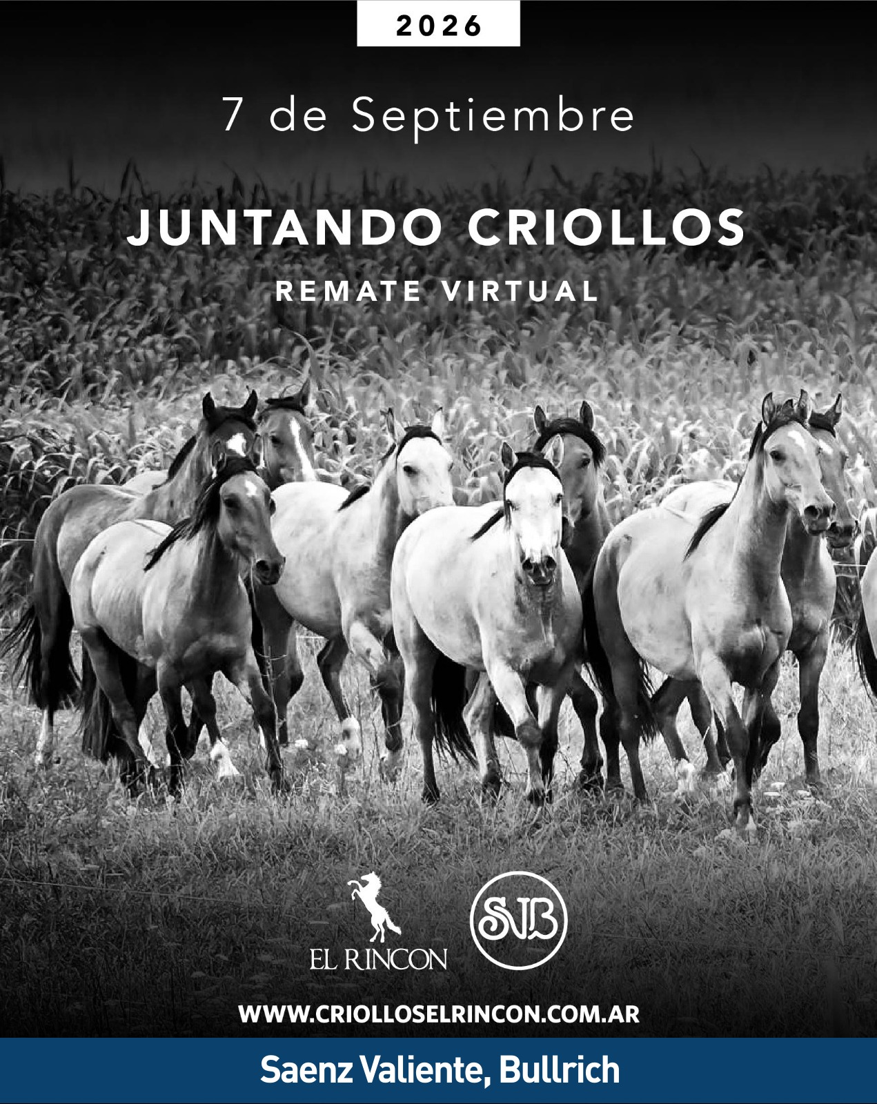 Juntando Criollos